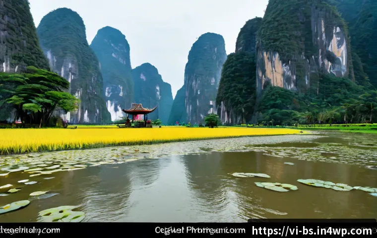 Nghiên cứu quan trắc khí hậu do cộng đồng tham gia: cách đánh giá dữ liệu, công cụ và chi phí triển khai 4 기후변화 시민 관측의 상호작용 연구 관련 이미지 2