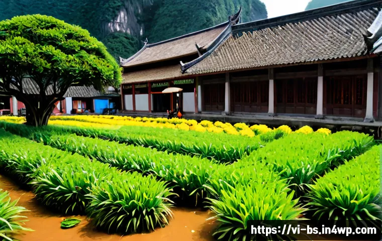 Xây dựng mô hình quan trắc khí hậu cộng đồng: chọn công cụ, kiểm soát dữ liệu và phối hợp hiệu quả 4 기후변화 시민 관측의 협력 모델 관련 이미지 2